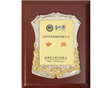 公司荣誉24